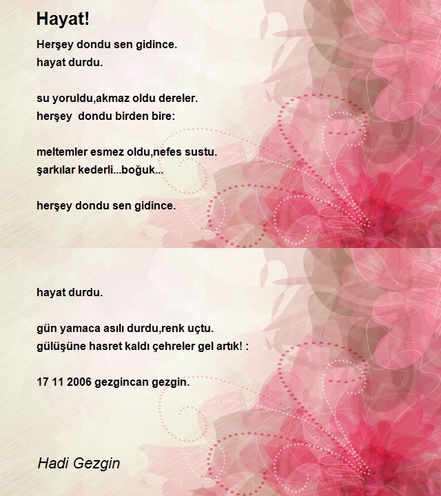 Hadi Gezgin