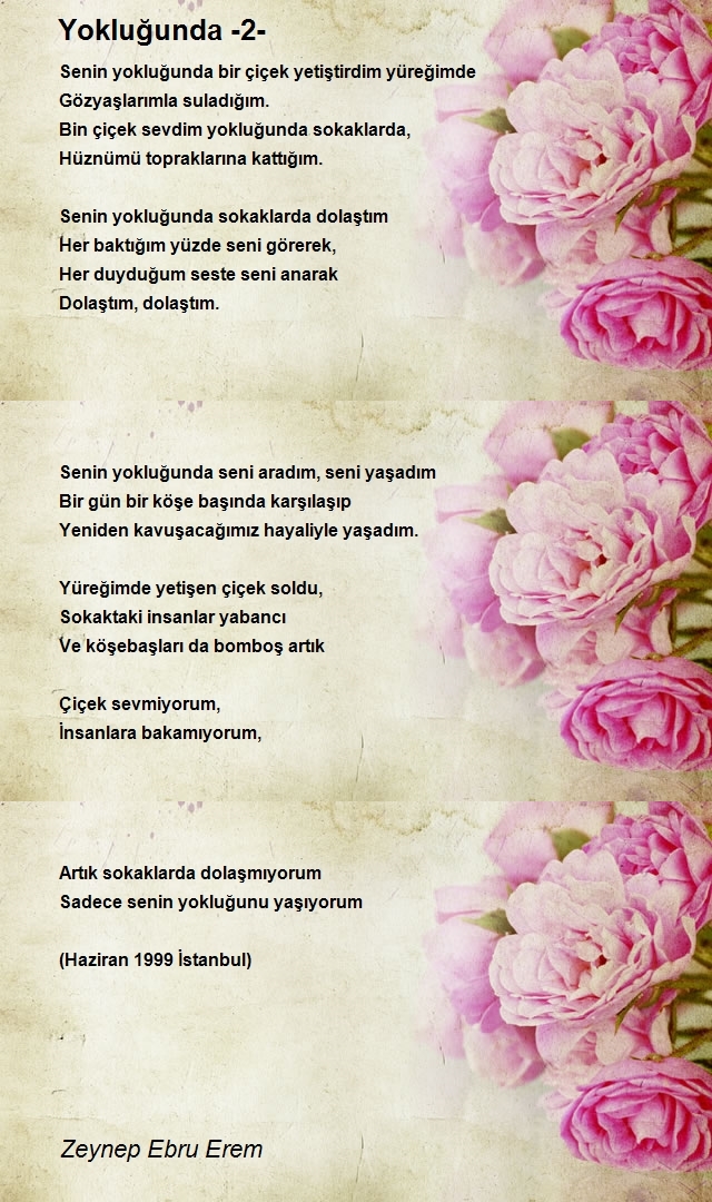 Zeynep Ebru Erem