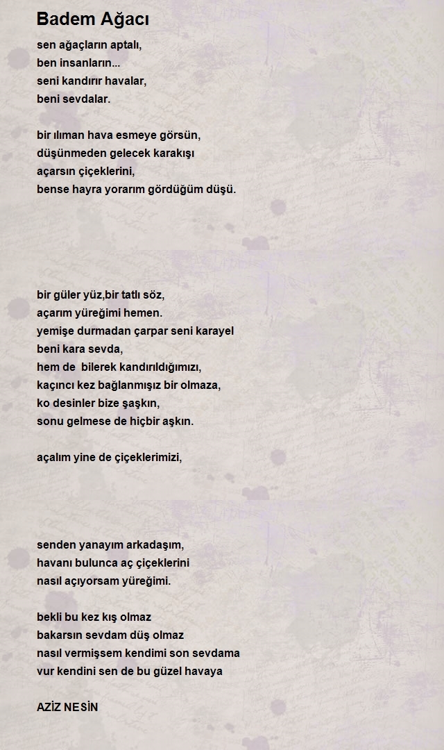 Nursen Ateş