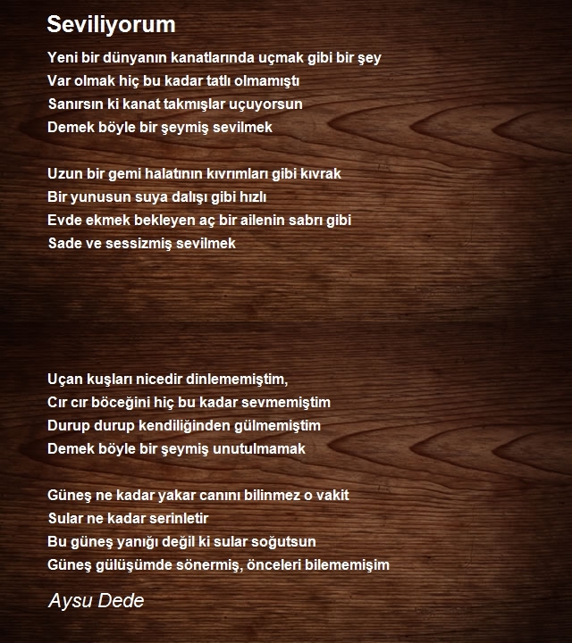 Aysu Dede