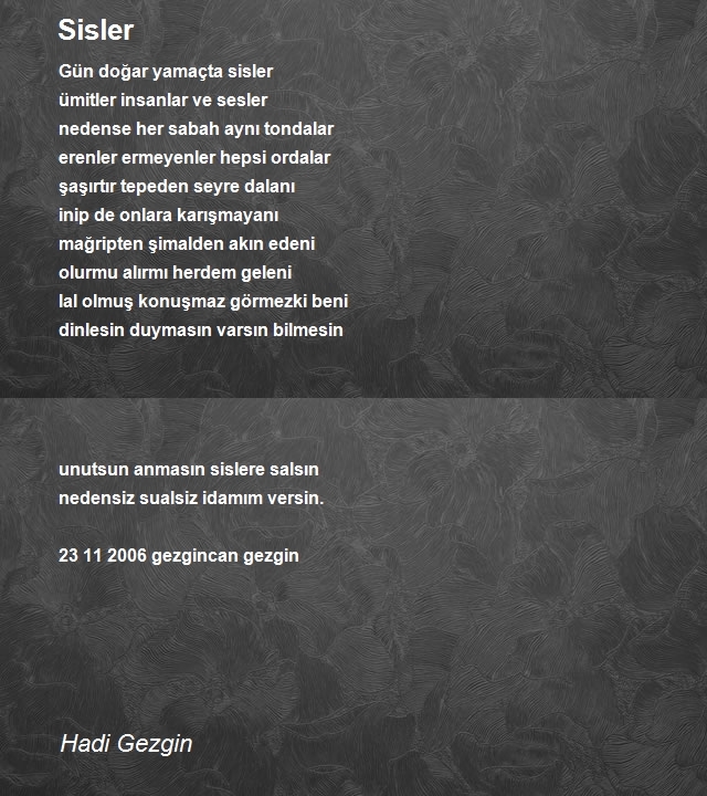 Hadi Gezgin