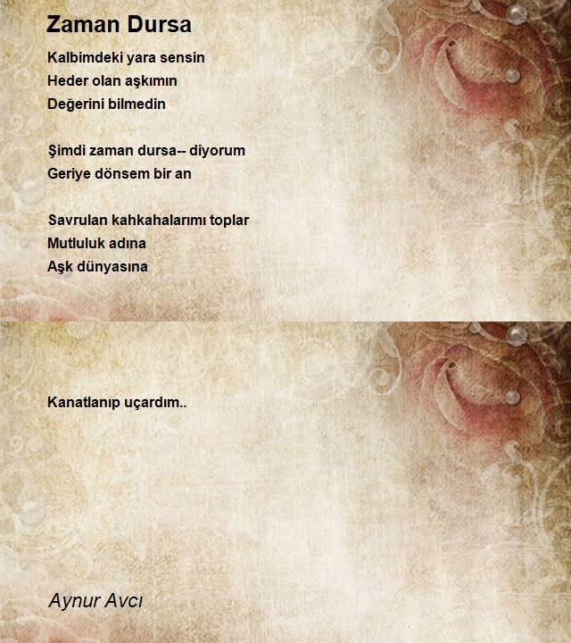 Aynur Avcı