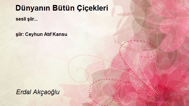 Erdal Akçaoğlu