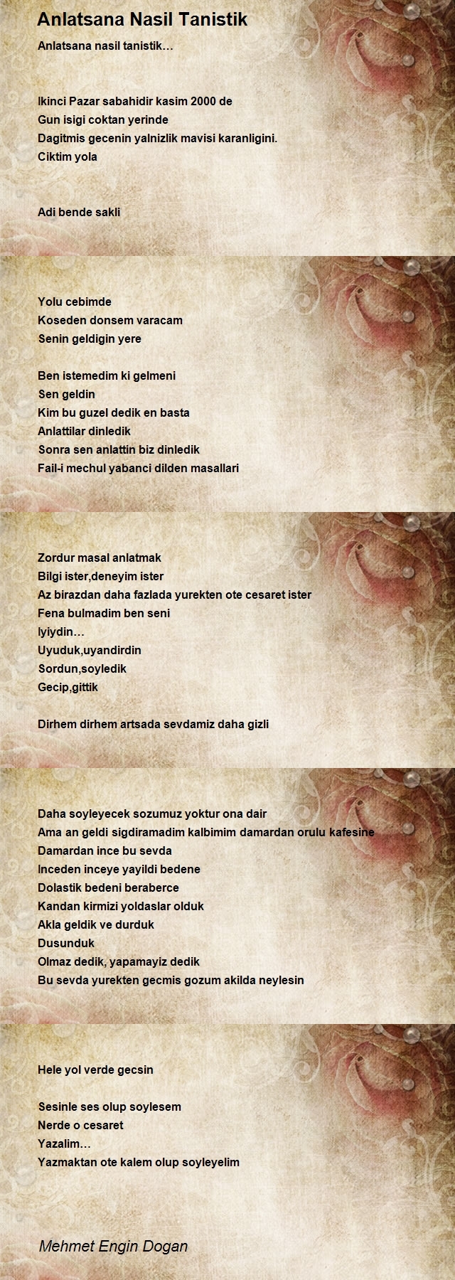 Mehmet Engin Dogan