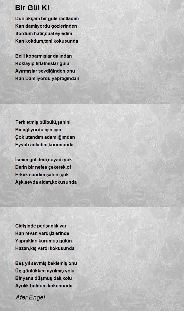 Afer Engel