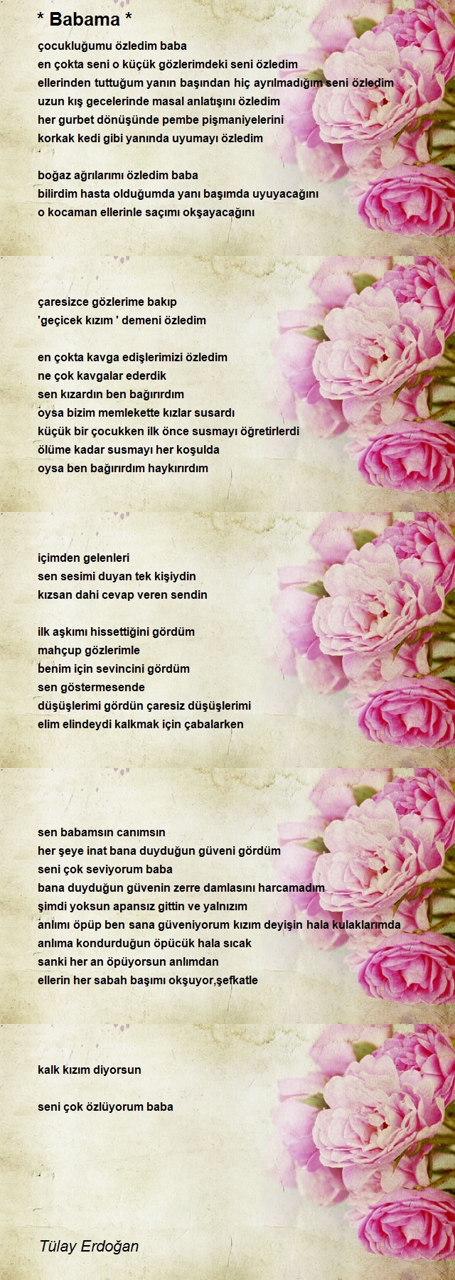 Tülay Erdoğan