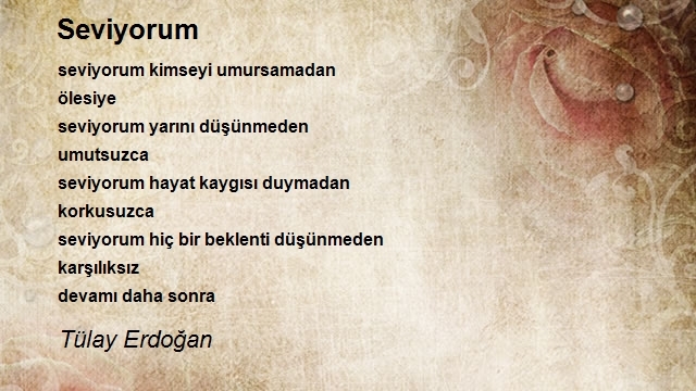 Tülay Erdoğan