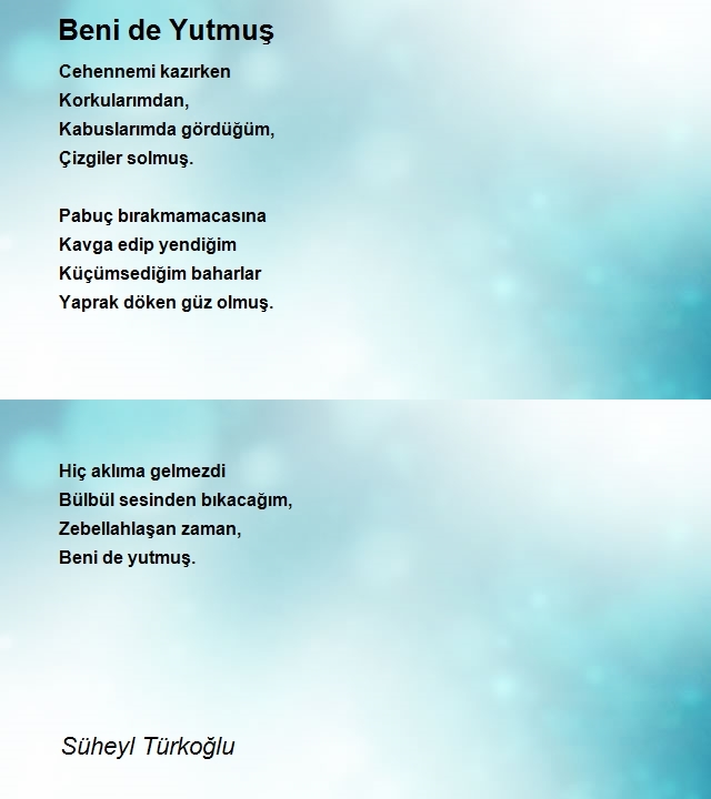 Süheyl Türkoğlu