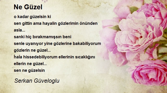 Serkan Güveloglu
