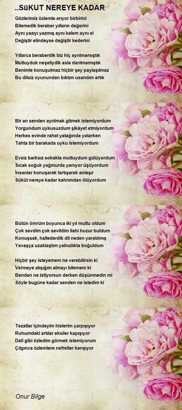 Onur Bilge