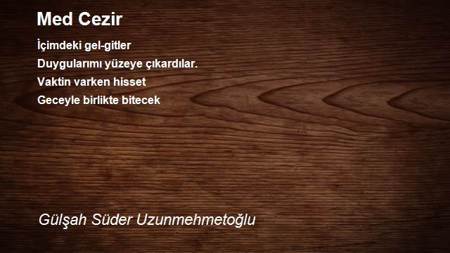 Gülşah Süder Uzunmehmetoğlu