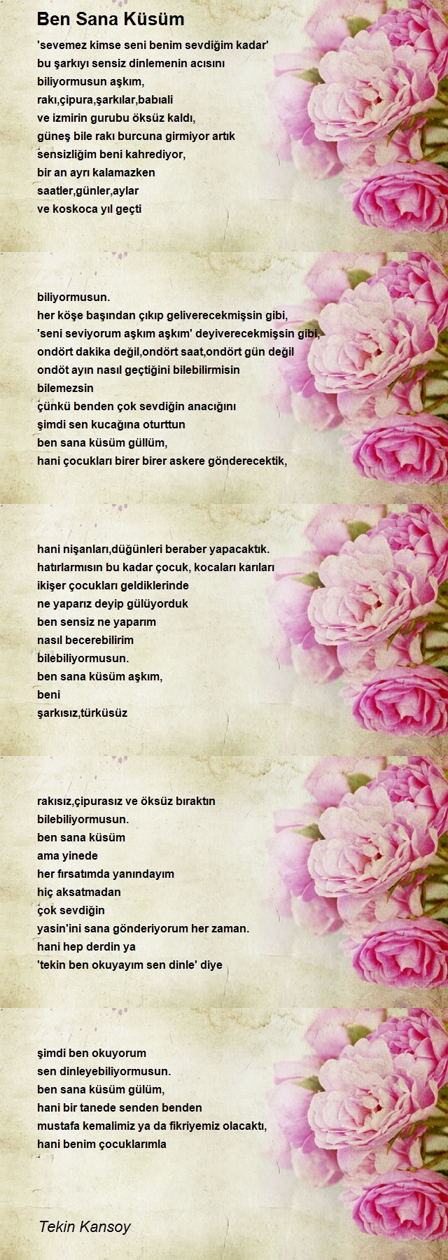 Tekin Kansoy