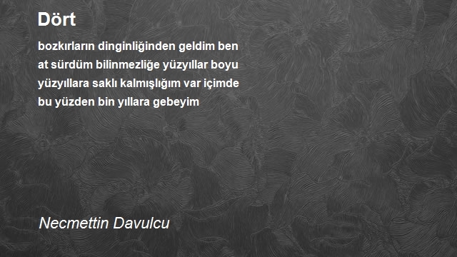 Necmettin Davulcu