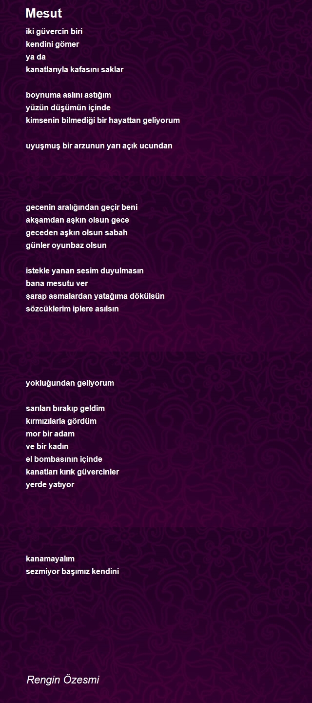 Rengin Özesmi