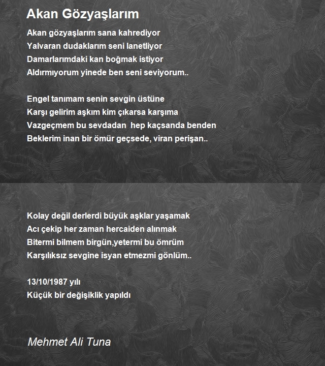 Mehmet Ali Tuna