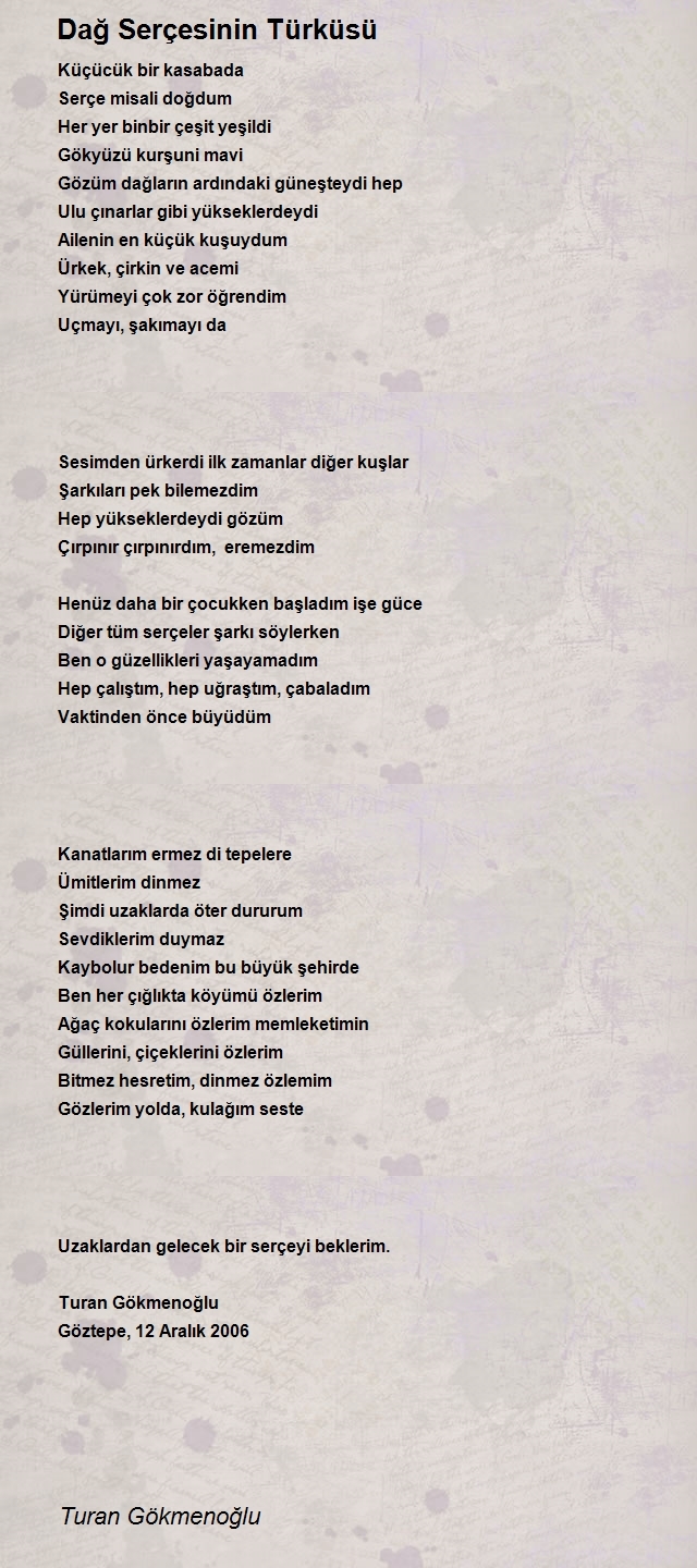 Turan Gökmenoğlu