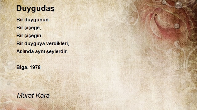 Murat Kara