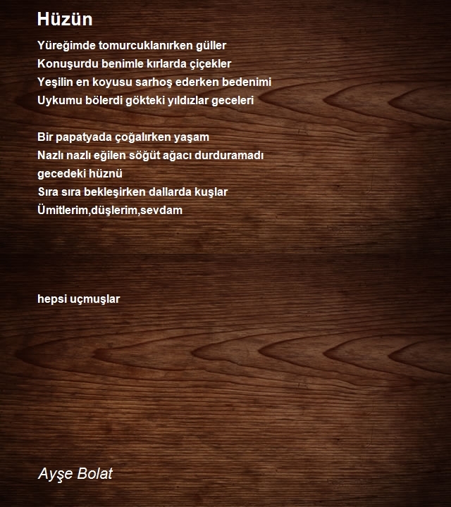 Ayşe Bolat