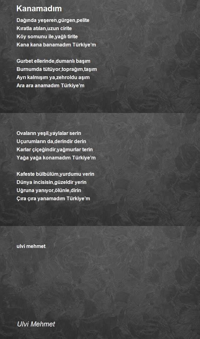 Ulvi Mehmet