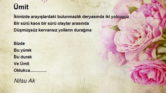 Nilsu Ak