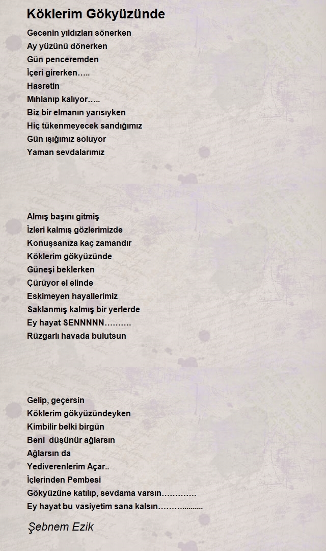 Şebnem Ezik