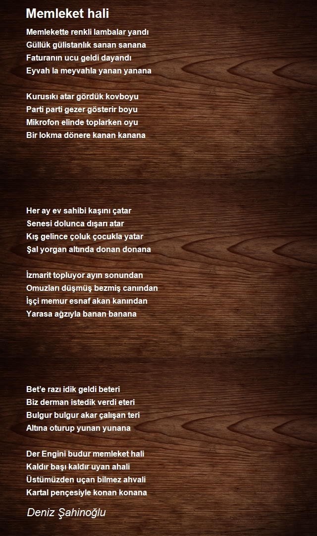 Deniz Şahinoğlu