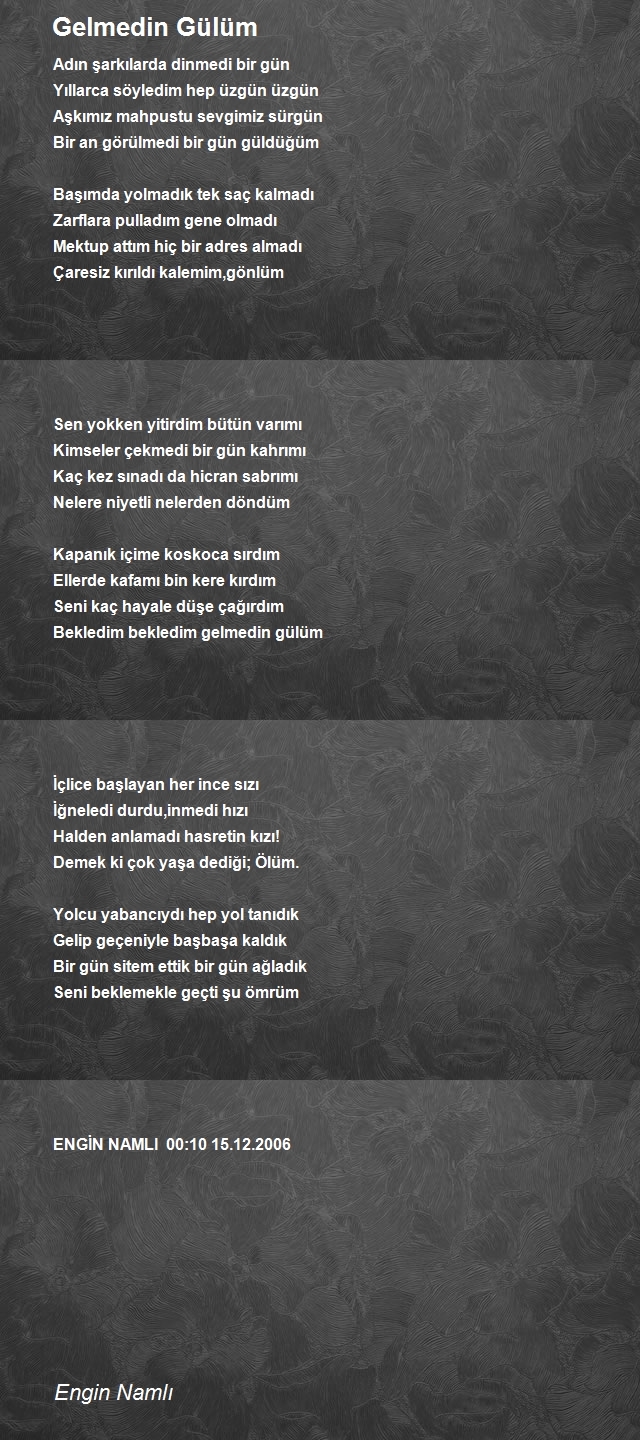 Engin Namlı