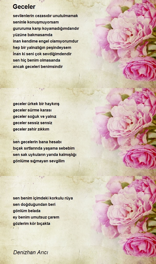 Denizhan Arıcı