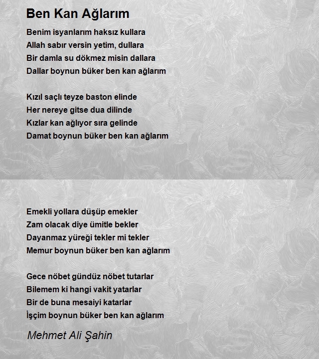 Mehmet Ali Şahin