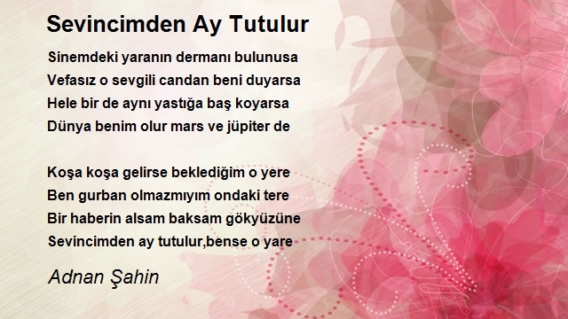 Adnan Şahin