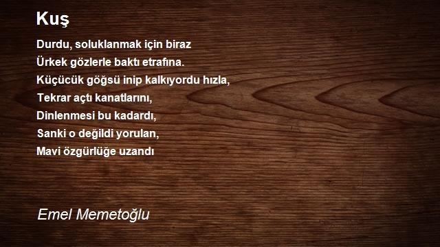 Emel Memetoğlu