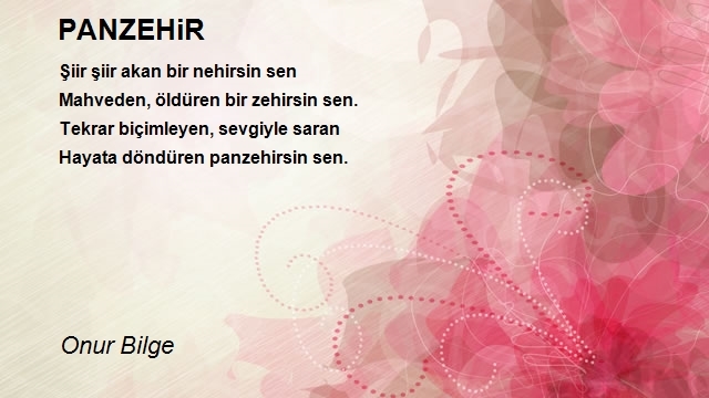 Onur Bilge