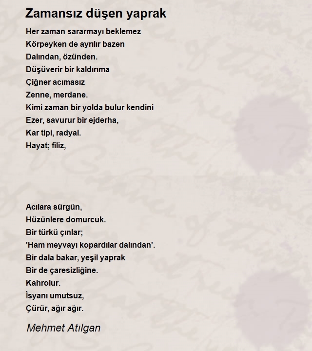 Mehmet Atılgan