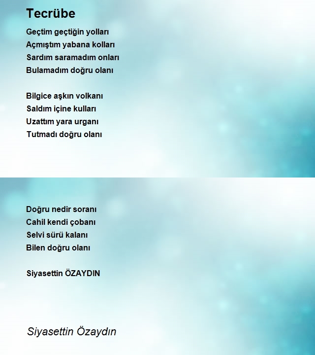 Siyasettin Özaydın