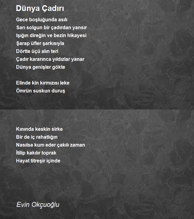 Evin Okçuoğlu