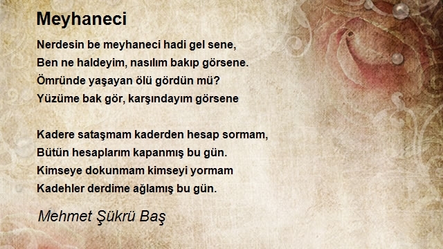 Mehmet Şükrü Baş