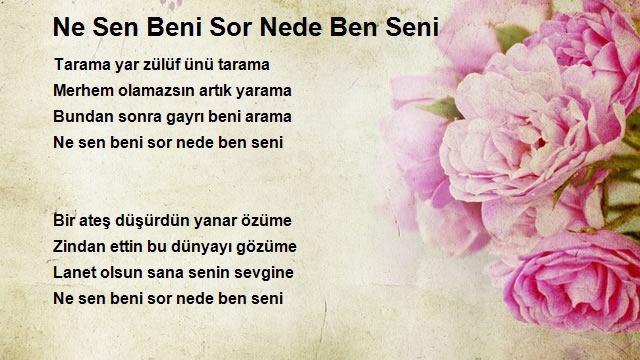 Ahmet Yılmaz 2