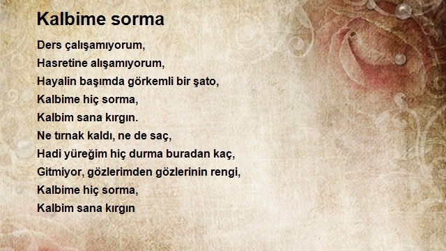 İzzettin Bilgin