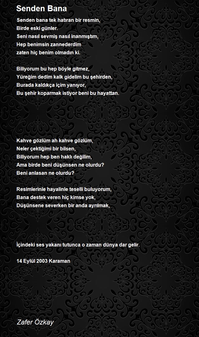 Zafer Özkay
