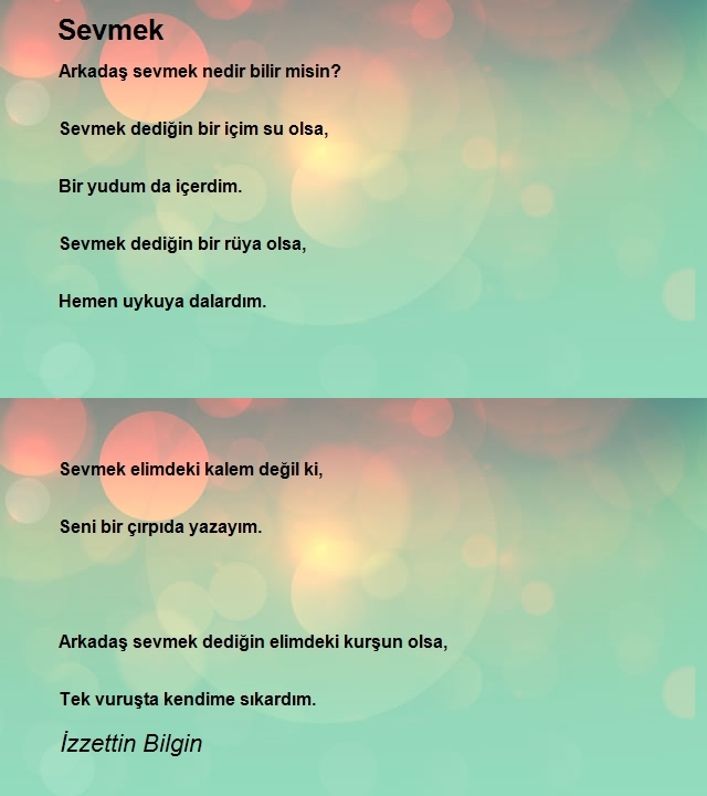 İzzettin Bilgin