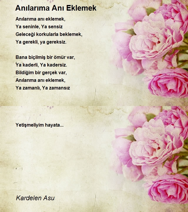 Hacer Öngör