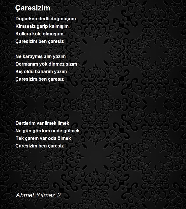 Ahmet Yılmaz 2