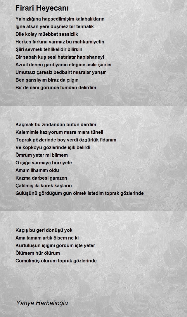 Yahya Harbalioğlu
