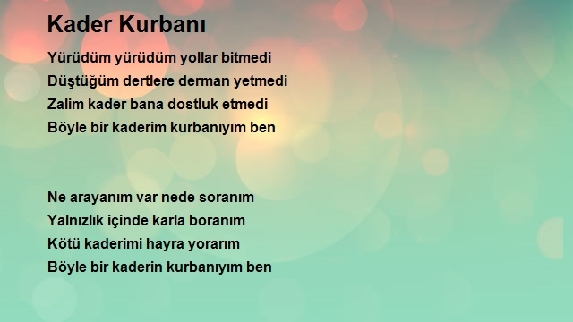 Ahmet Yılmaz 2