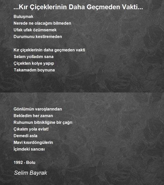 Selim Bayrak