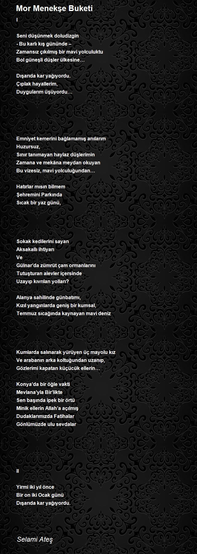 Selami Ateş