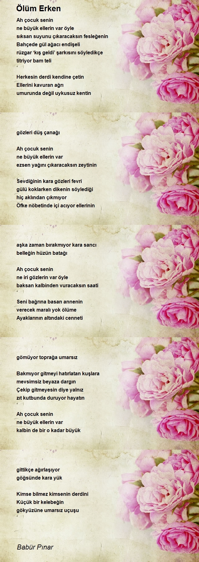Babür Pınar