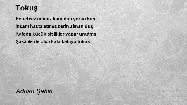 Adnan Şahin