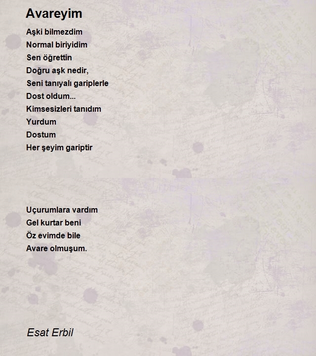 Esat Erbil