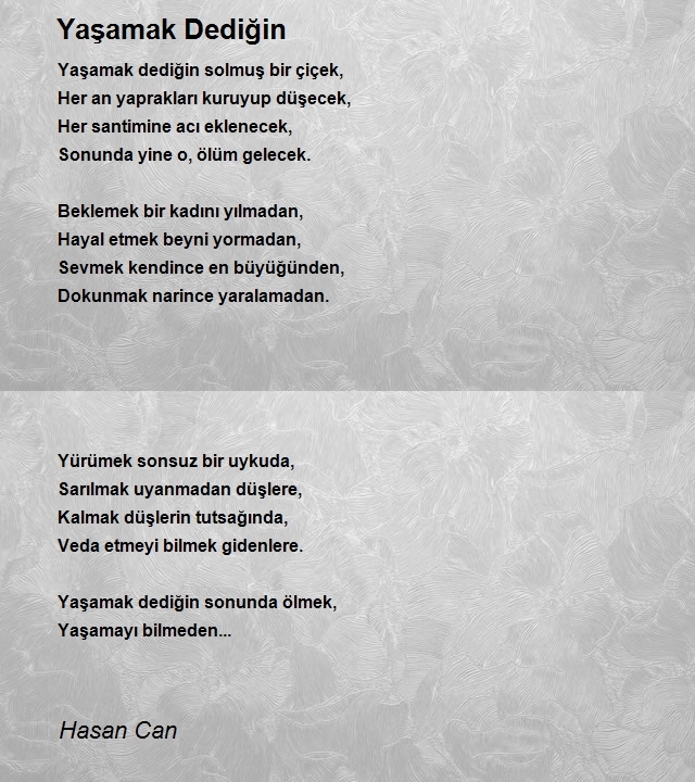 Hasan Can